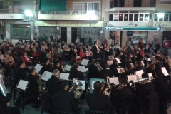 Concert de la tardor 9 NOV 2013