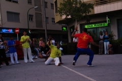 Exhibició de Capoeira 2010 
