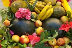 Festes d'estiu 2014-ofrena de flors i fruits